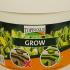 TopBuxus Grow  cm buy online UK.