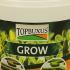 TopBuxus Grow  cm buy online UK.