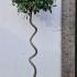 Topiary Twisted Stem Bay Trees 1.4-1.5 m buy online UK.