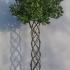 Topiary Twisted Stem Bay Trees 1.9 m buy online UK.