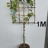 vvb 1.5 m buy online UK.