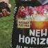 Westland New Horizon All Plant Compost Peat-Free    buy online UK.