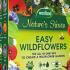 Flower Seeds to Attract Pollinators. Flower Seeds for Wildlife. 