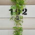 wistflorhon 1.75-2 m buy online UK.