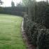 Two tiered Yew hedge for boundary screening, UK country garden