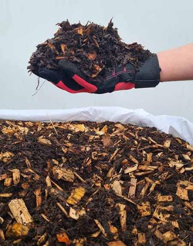 Sustainable Peat-Free Compost: Friendly Fungi Compost