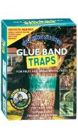 Growing Success Glue Band Traps for Trees