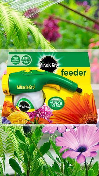 Miracle gro feeder hotsell