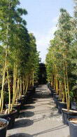 pingwu chatrooms Chat live or call 1-800-454-3743 any time for help booking your hotels in guangyuan our team of experts can help you pinpoint guangyuan hotels options suited to your tastes and budget our team of experts can help you pinpoint guangyuan hotels options suited to your tastes and budget. pingwu chatrooms Chat live or call 1-800-454-3743 any time for help booking your hotels in guangyuan our team of experts can help you pinpoint guangyuan hotels options suited to your tastes and budget our team of experts can help you pinpoint guangyuan hotels options suited to your tastes and budget.