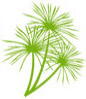 Paramountplants logo