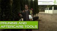 Tom talks you through how best to take care of your plants so you will always have a beautiful garden, focusing on pruning, feeding and treating diseases.
